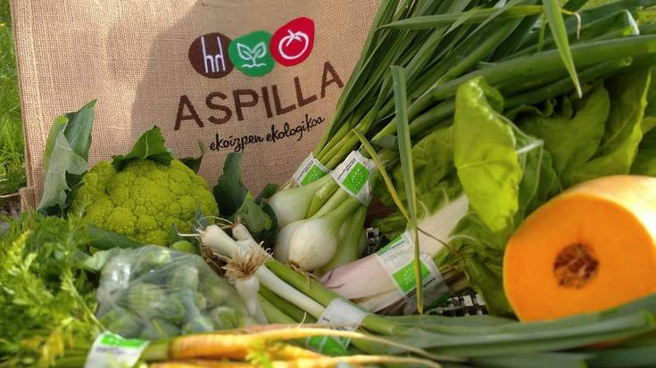 "Arixen' Egunean Behin lehiaketako zazpigarren asteko sariduna